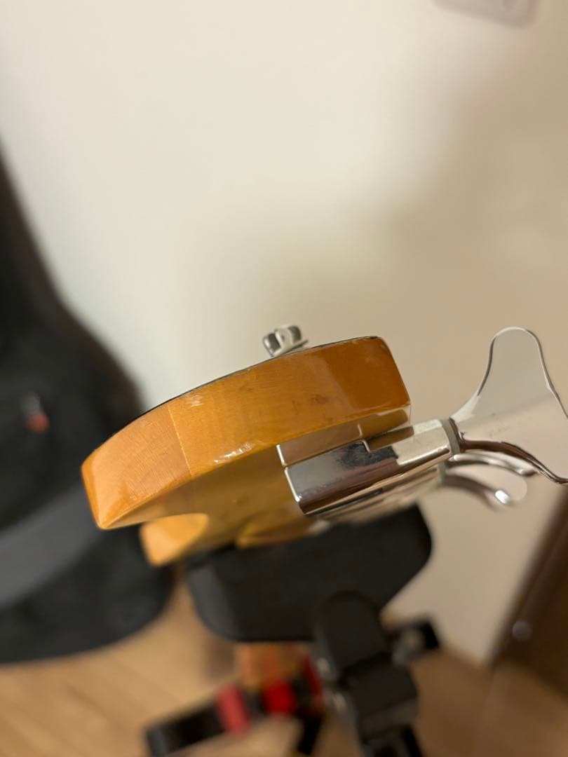 10FEET ナオキモデル ベース バーニー