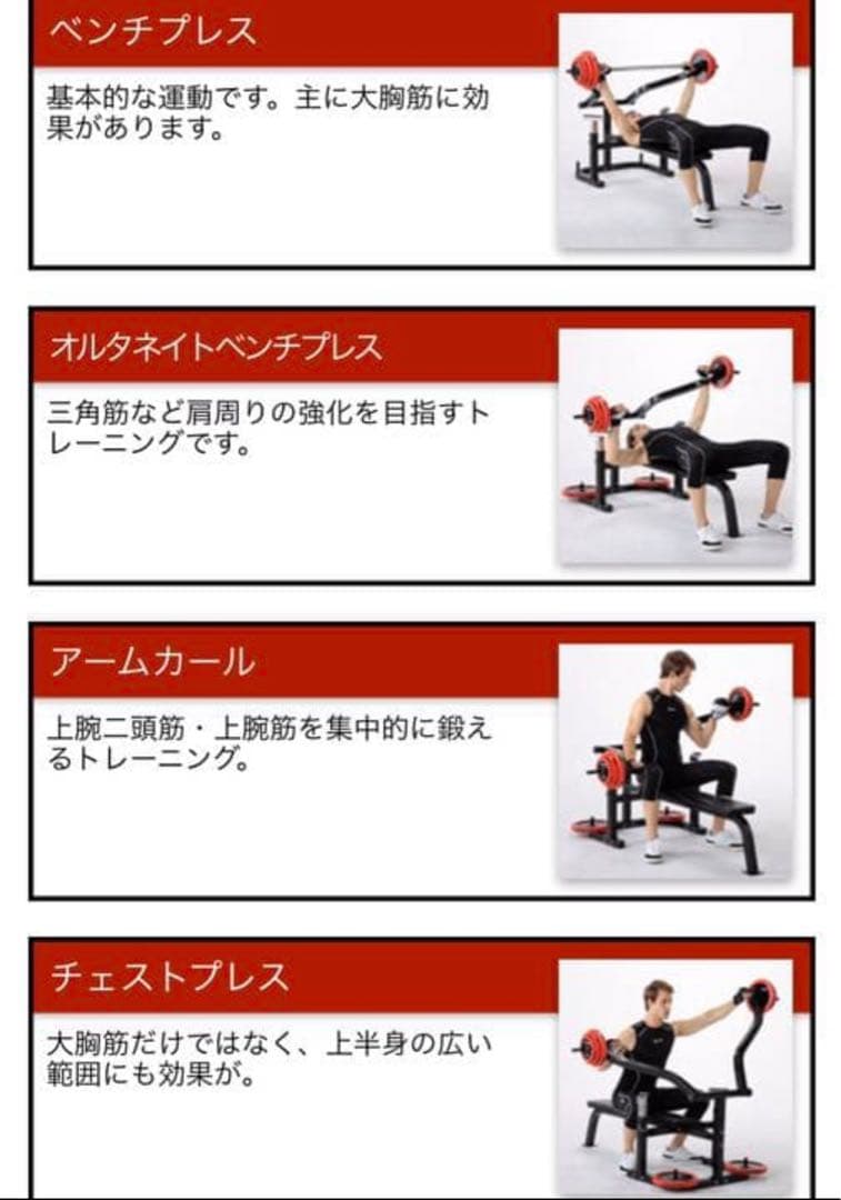 ファイティングロード　セーフティプレスベンチ　プレート付き