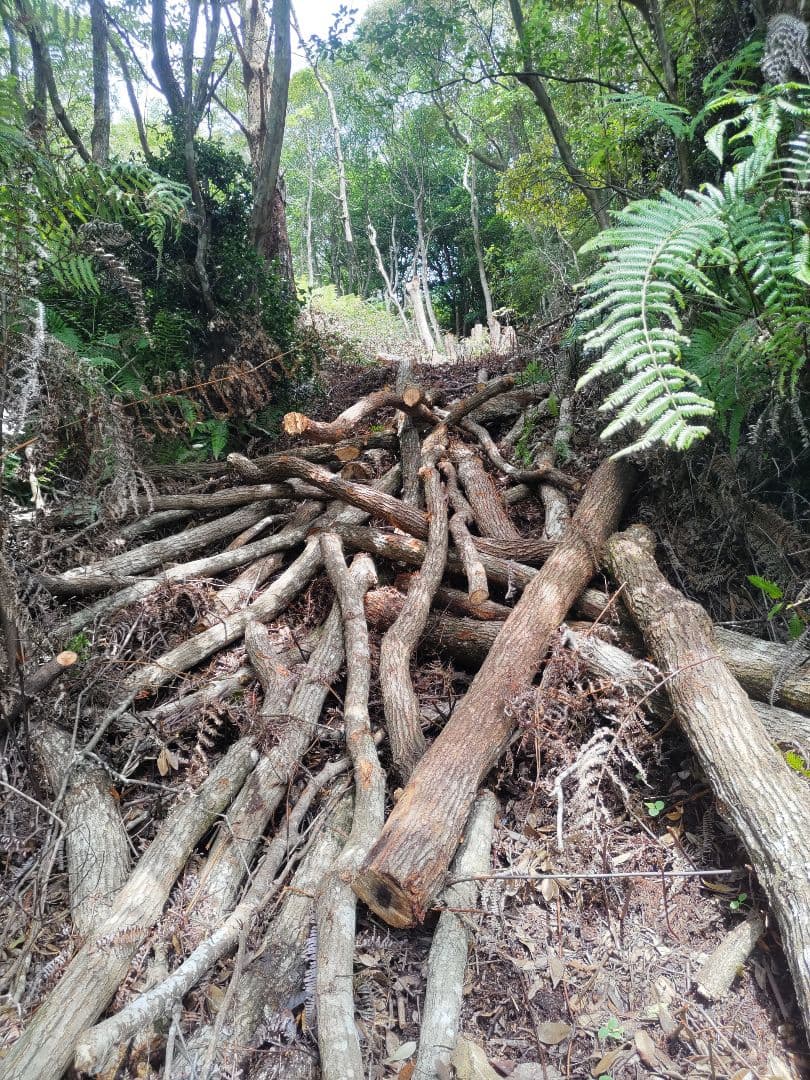 紀州 備長炭 七輪用　15kg