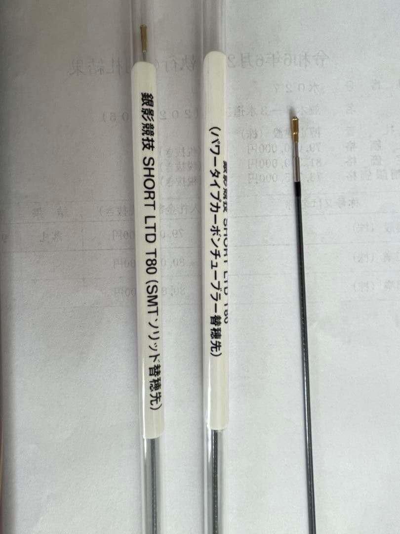 Daiwa SHORT LTD T80鮎竿