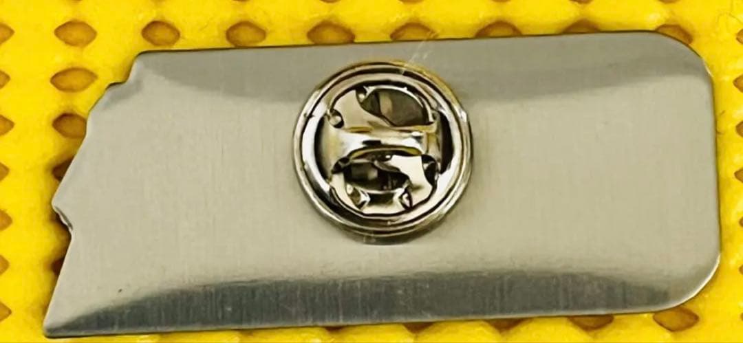 非売品 ドイツ連邦共和国選手団 ピンバッジ 関係者用 オリンピックチーム　1個