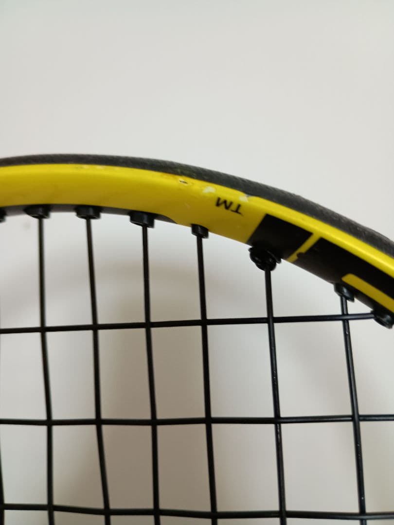 ペンペンさん　専用 バボラピュアアエロ　100 G2 ２本組