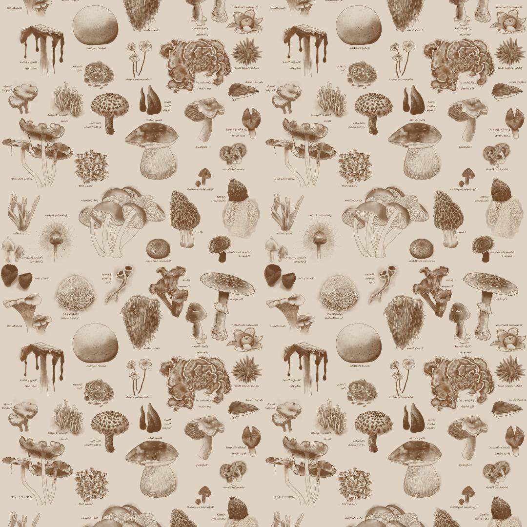 アウトドア寝具 ENLIGHTENED EQUIPMENT Revelation APEX