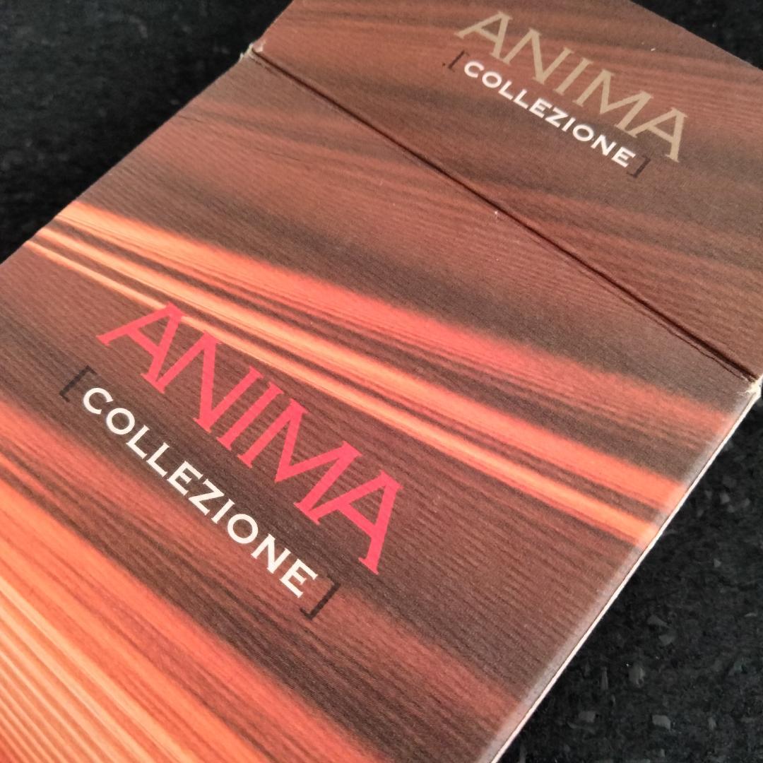 【日本限定第5弾ヴィンテージ】DELTA Anima アニマ万年筆 F（細字）