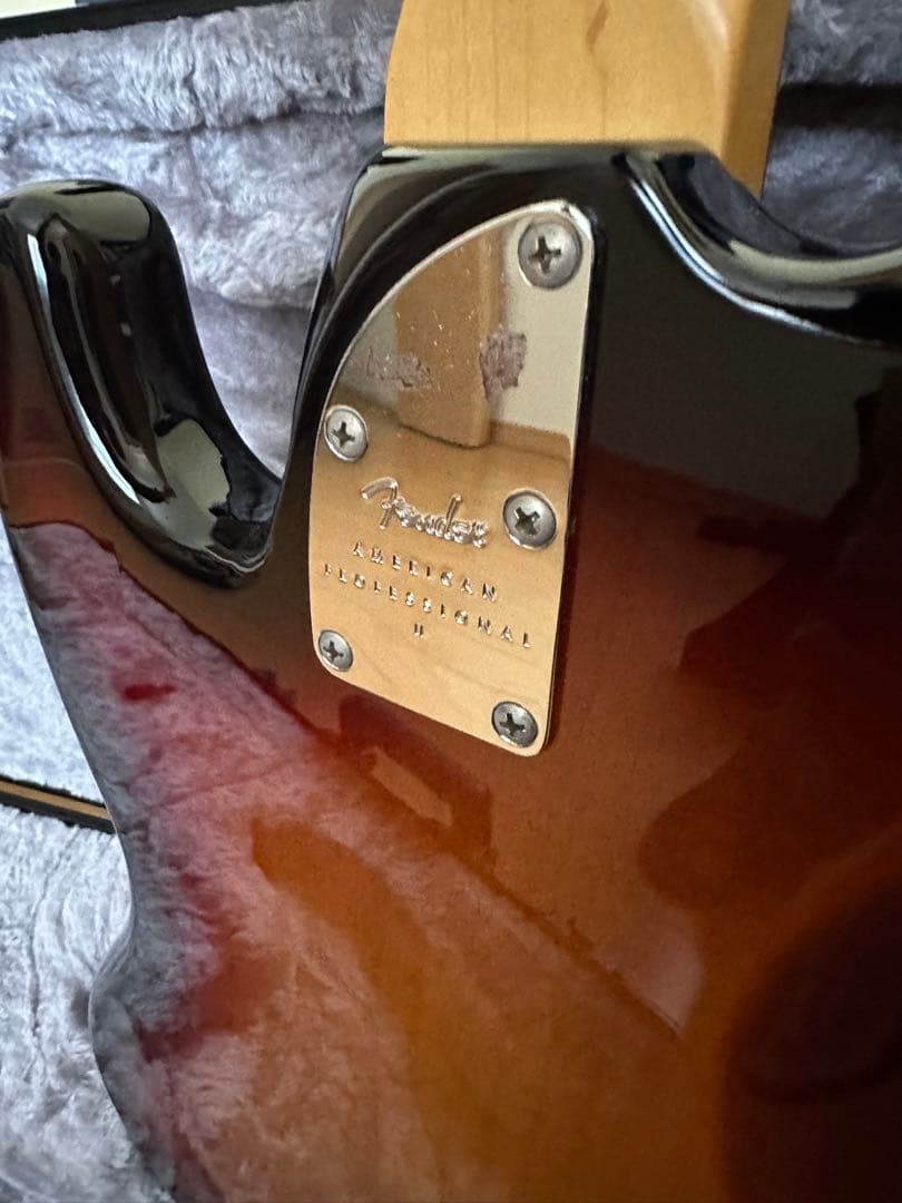 American Professional IIハードケース　付き