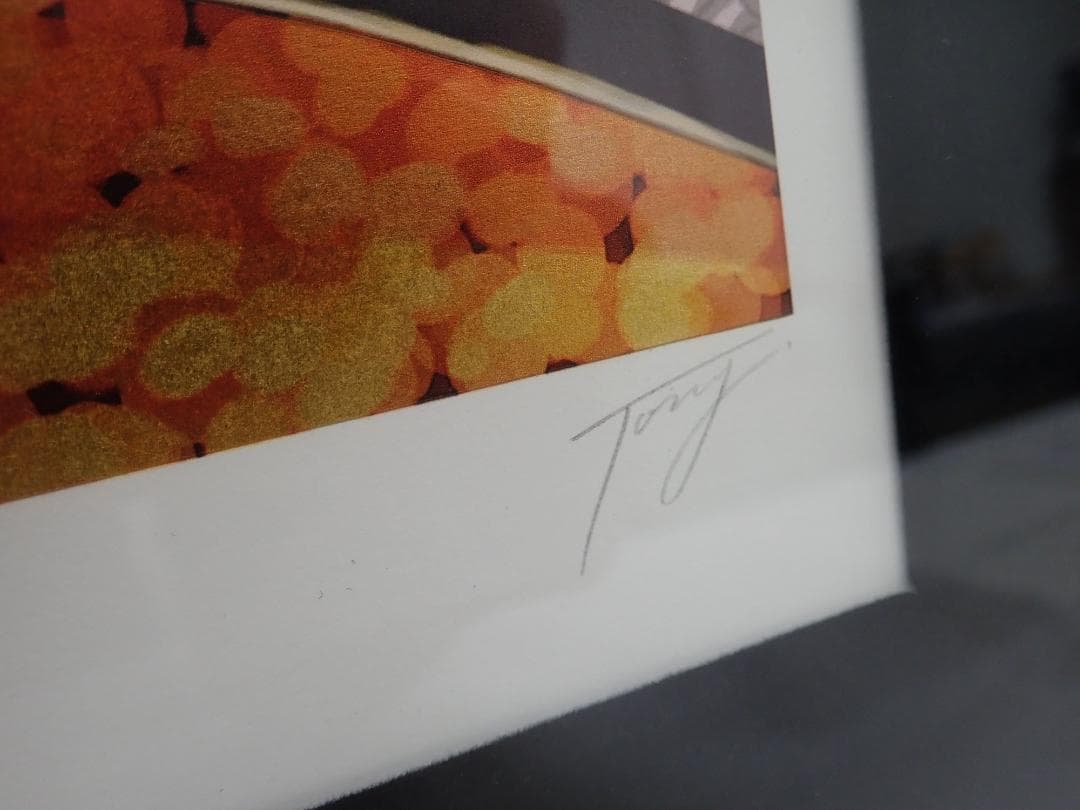 ㉓新品・保証書付 Tony「La Capitana DX DX」ミクスドメディア