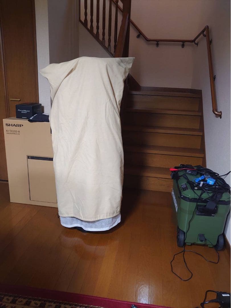 新品　CB3442 2036713 MAJESTY 9.5型　限定生産　象