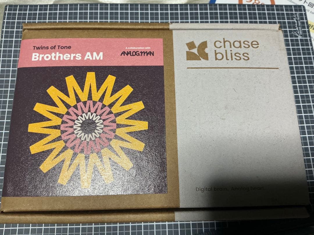 ギター chase bliss audio brothers am