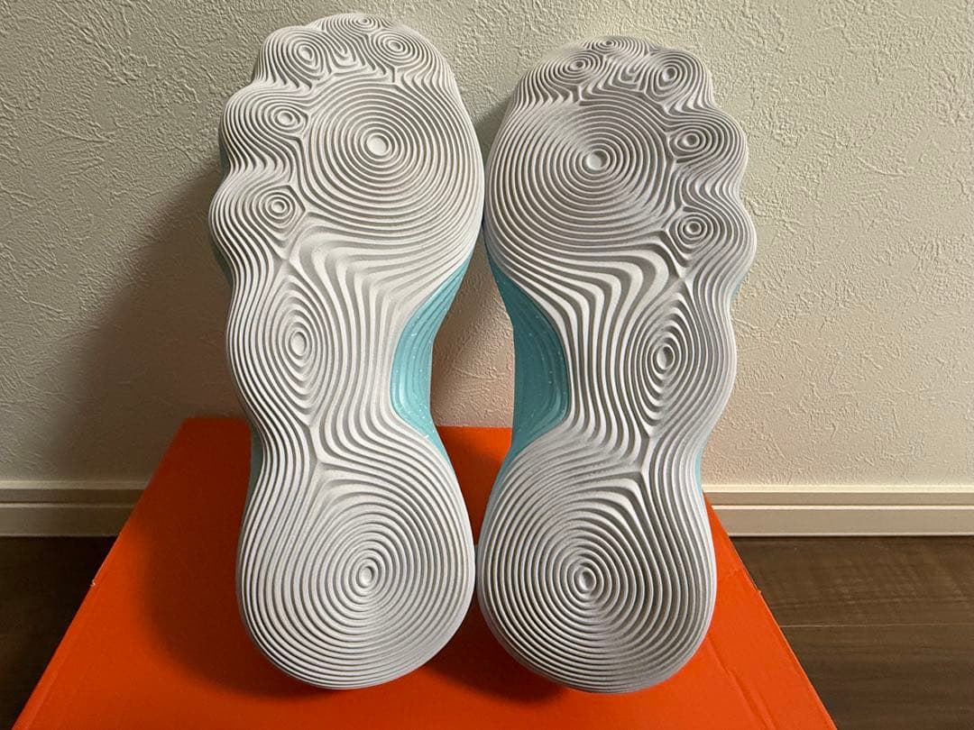 シューズ(男性用) NIKE HYPERDUNK 2017 LOW 28.5cm