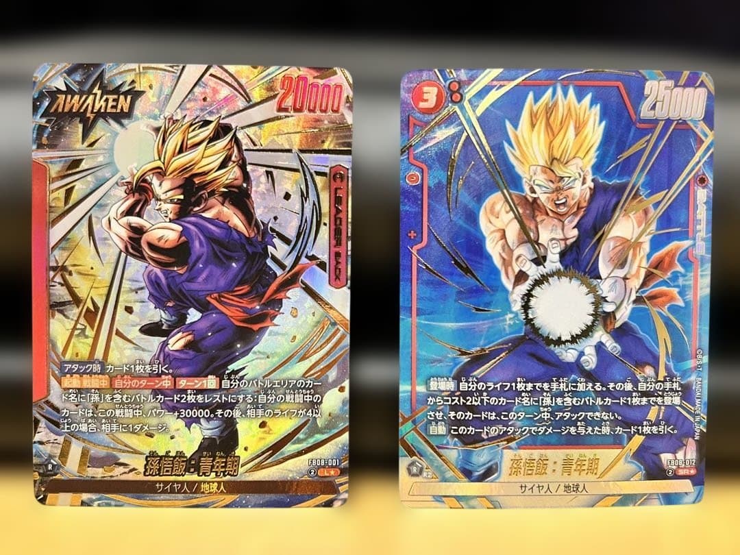 ドラゴンボール　誇り高き戦闘民族FB08 孫悟飯L☆SR☆