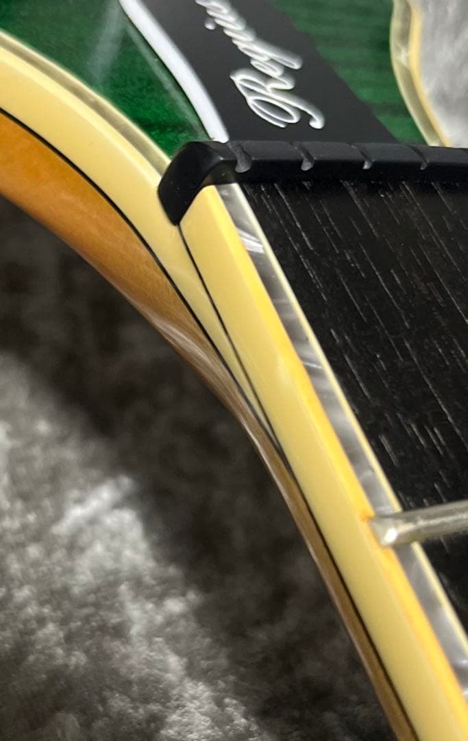 ギター MAYONES Regius6 REG6-TEGRNG