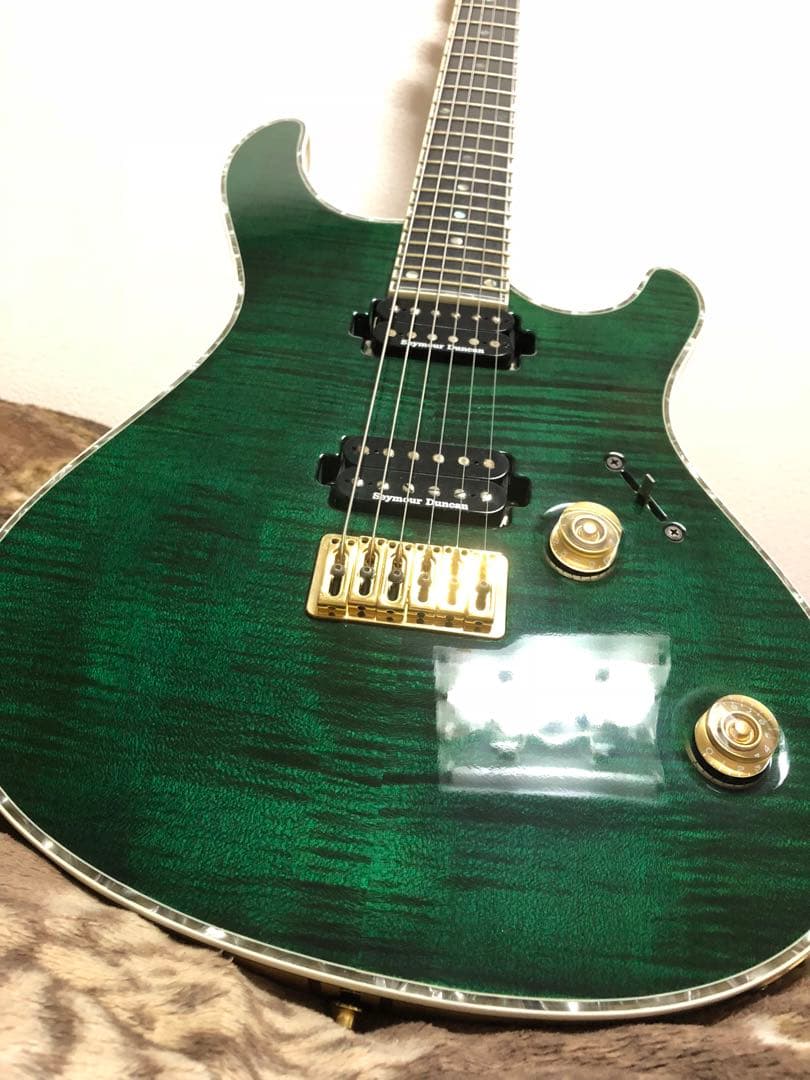 ギター MAYONES Regius6 REG6-TEGRNG
