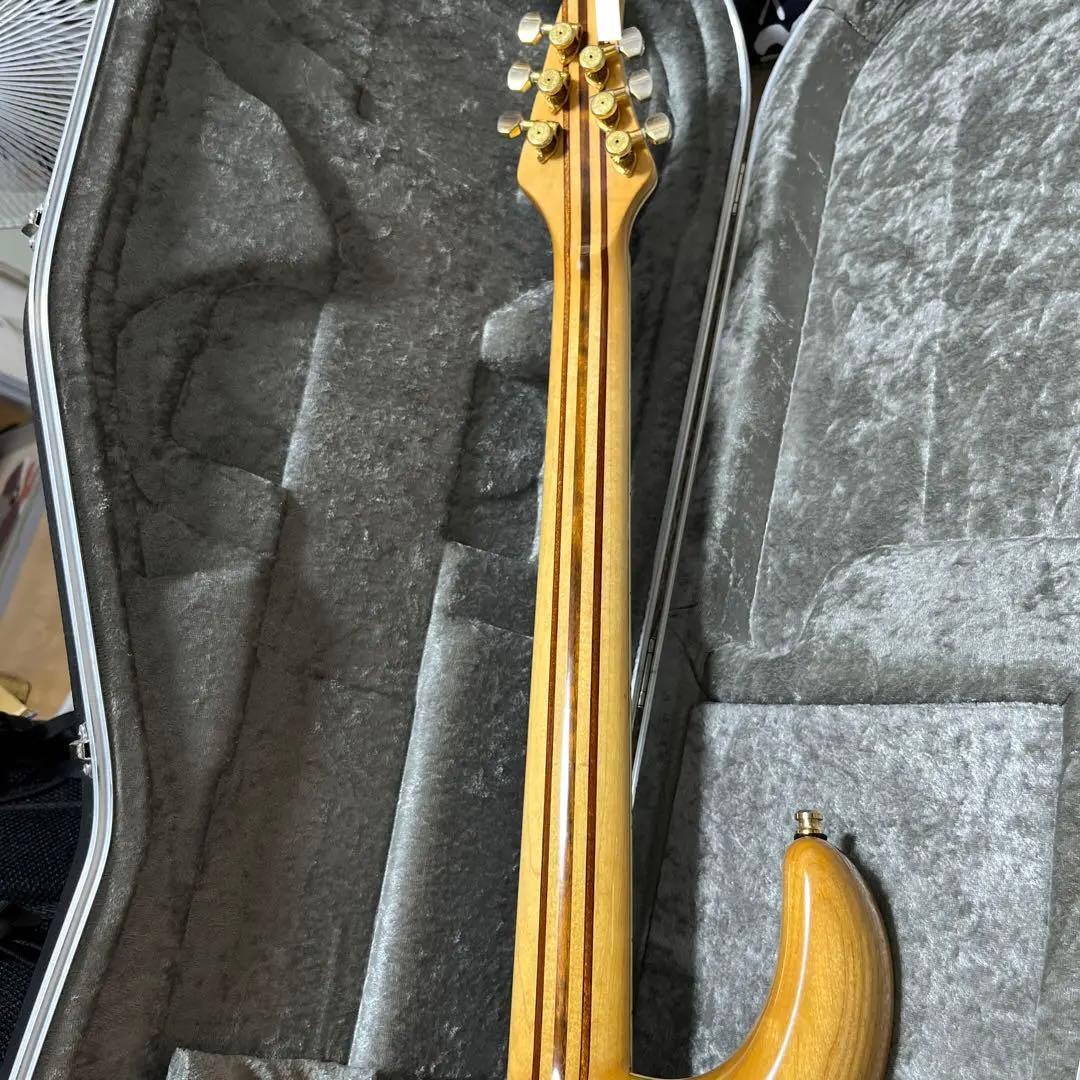 ギター MAYONES Regius6 REG6-TEGRNG