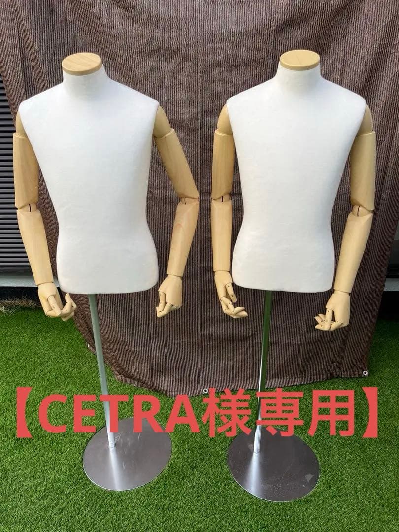 【CETRA】sun メンズトルソー　腕付　胴体のみ　2体セット