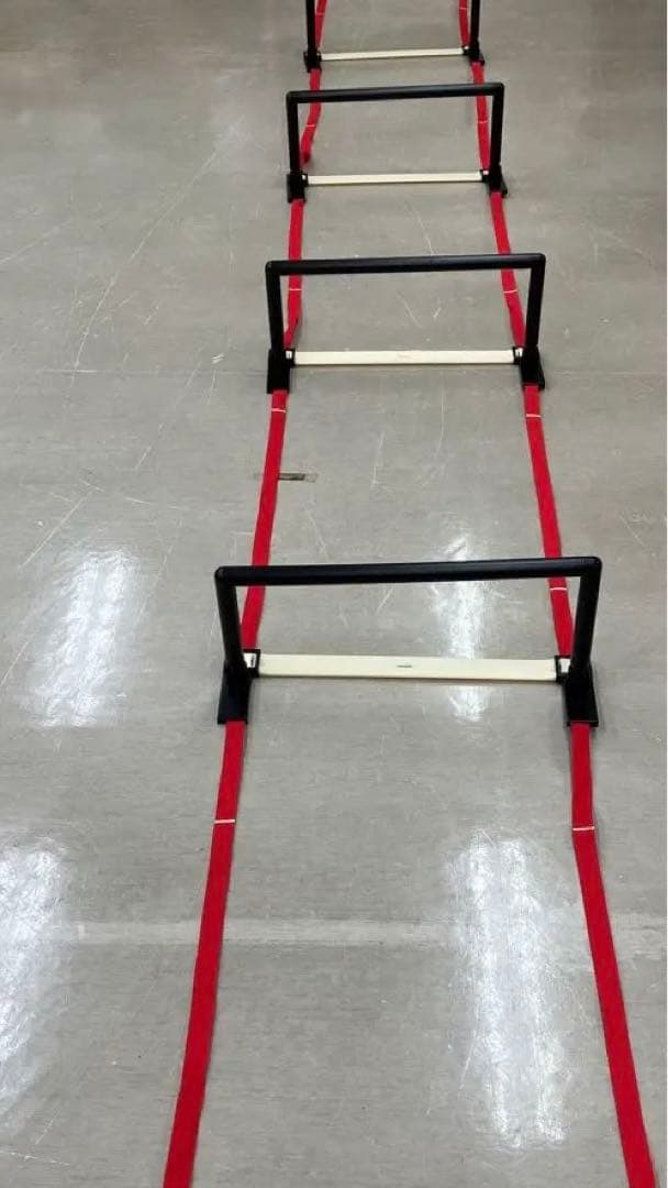 ダンノ(DANNO) ラダーハードル 高さ20cm/30cm