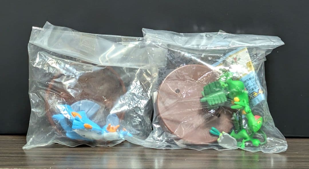 立体ポケモン図鑑 キモリ ミズゴロウ 進化系セット