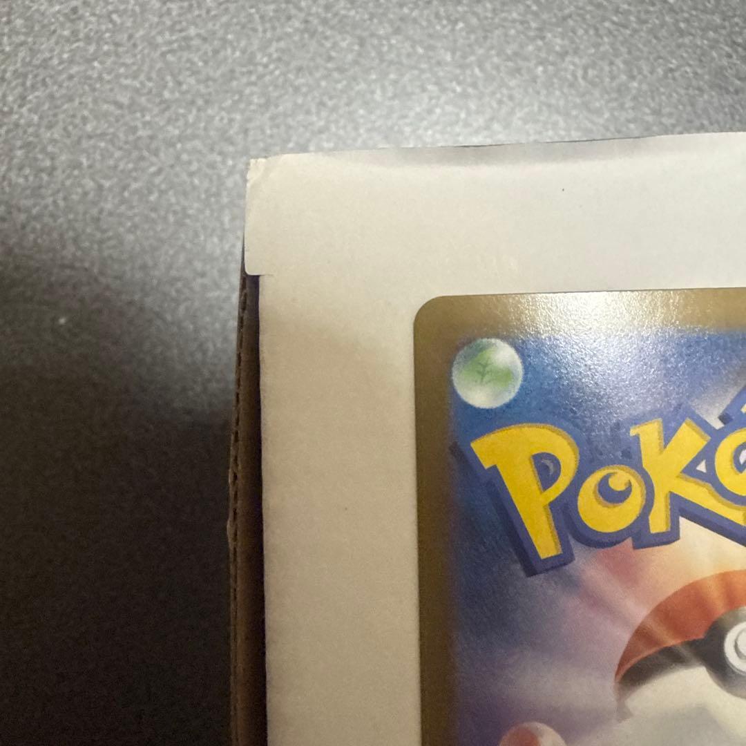 リザードン y mur