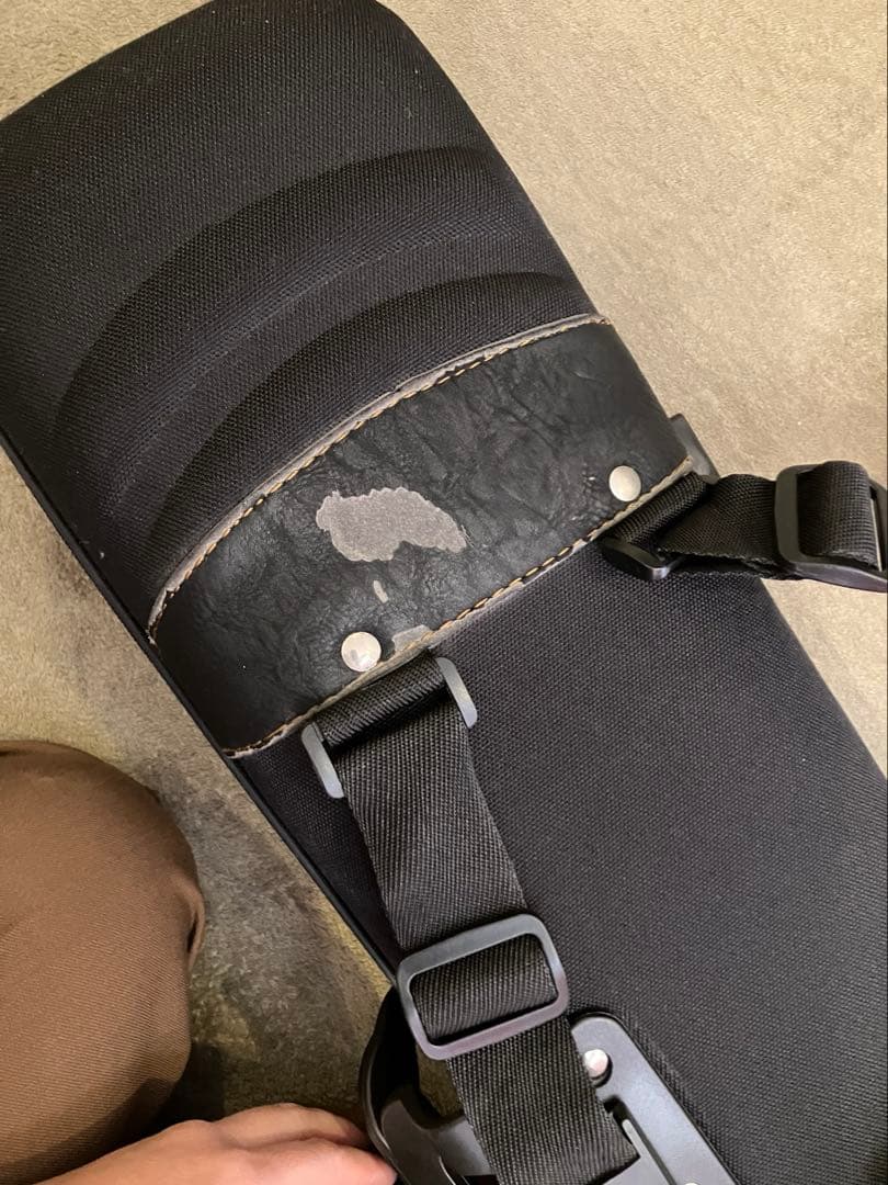 名師堂 二胡 紅木 セミハードケース付き