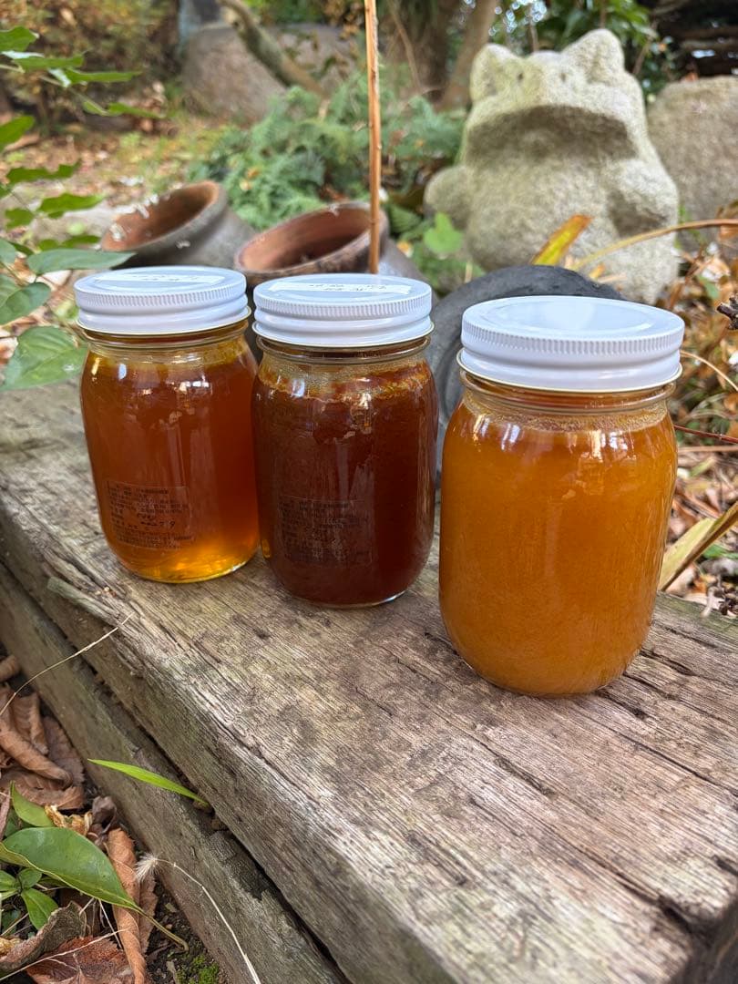 ハチミツ　日本蜜蜂の蜂蜜　巣箱違い谷違いの花粉入りはちみつ