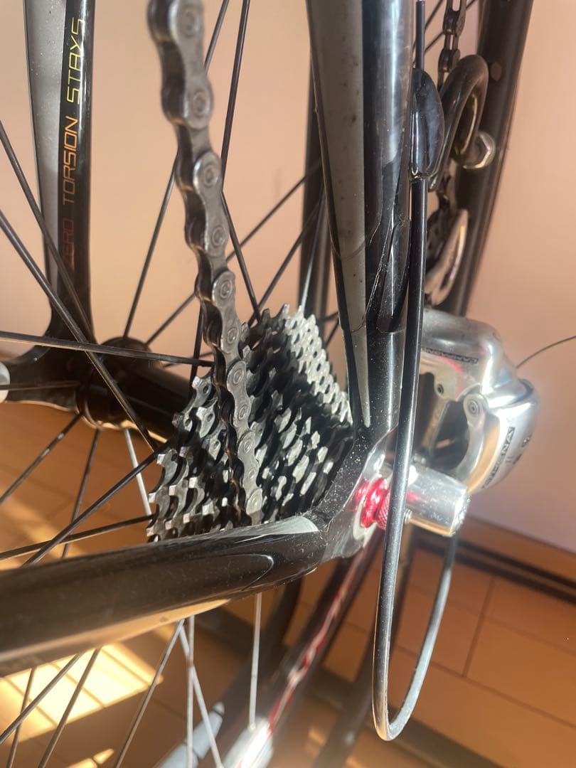 チネリ xperience エクスペリエンス　カンパ　ロードバイク