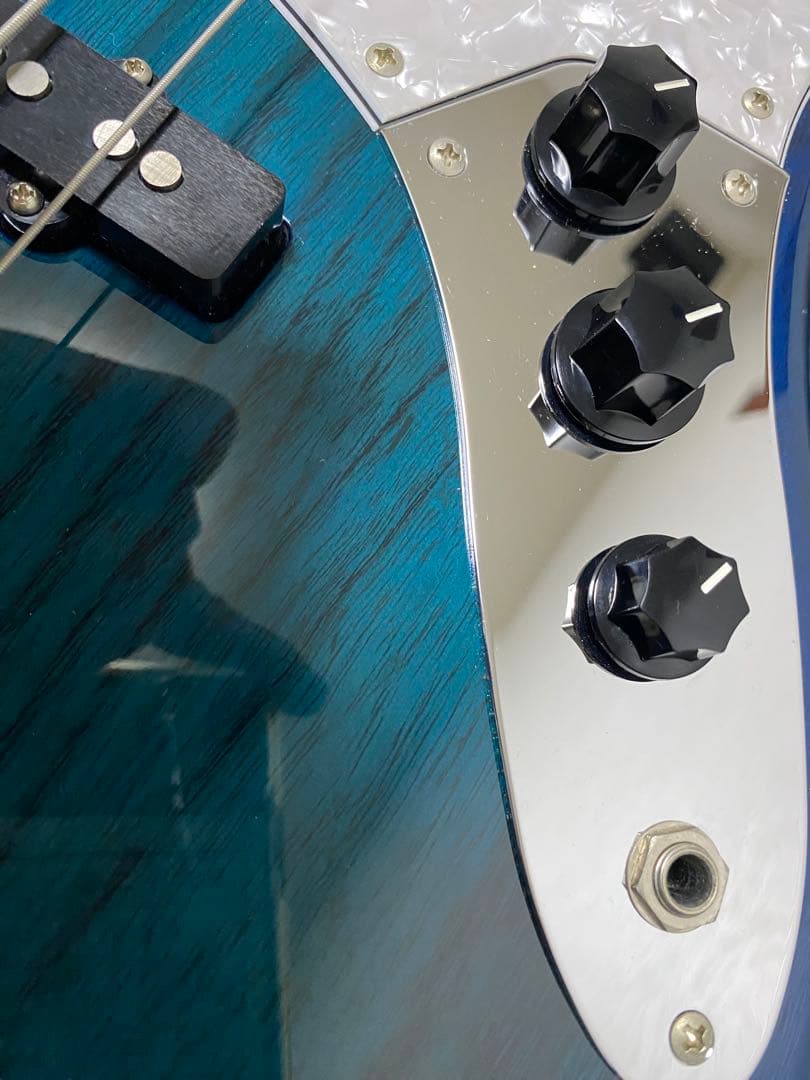 FUJIGEN SNJB101-SBB ネオクラシック