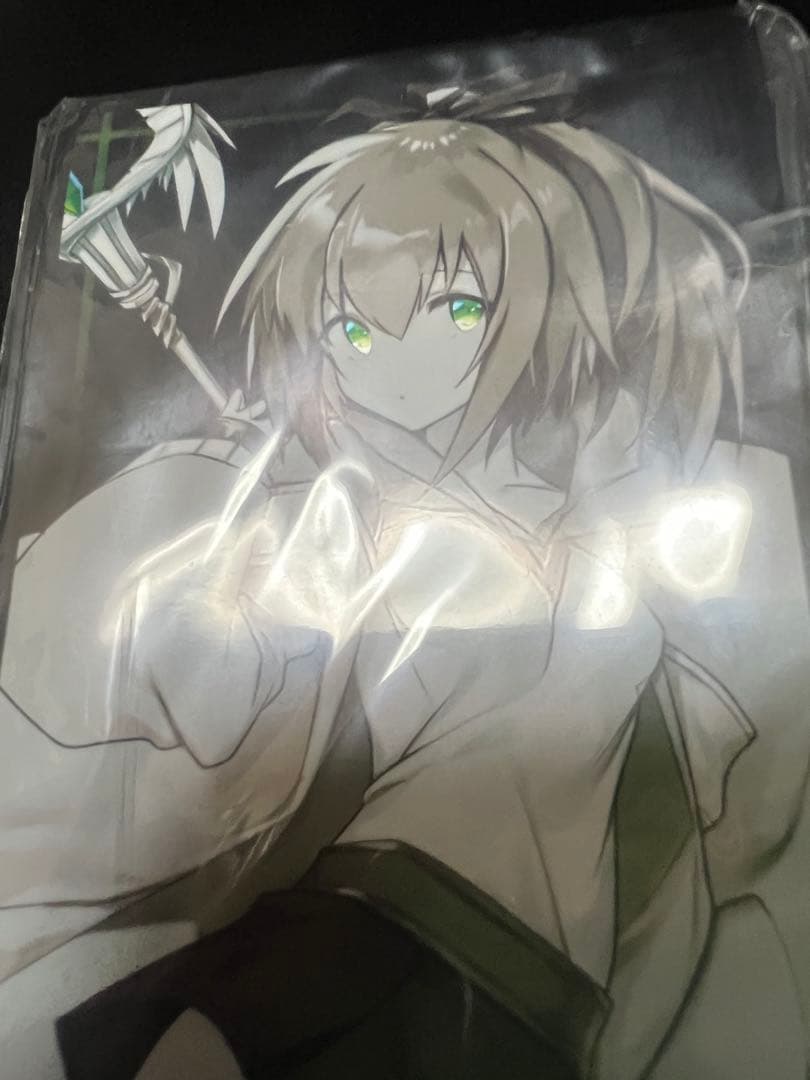 ⭐︎希少⭐︎ 四霊使い スリーブ 4種セット ウィン ヒータ エリア アウス 遊戯王