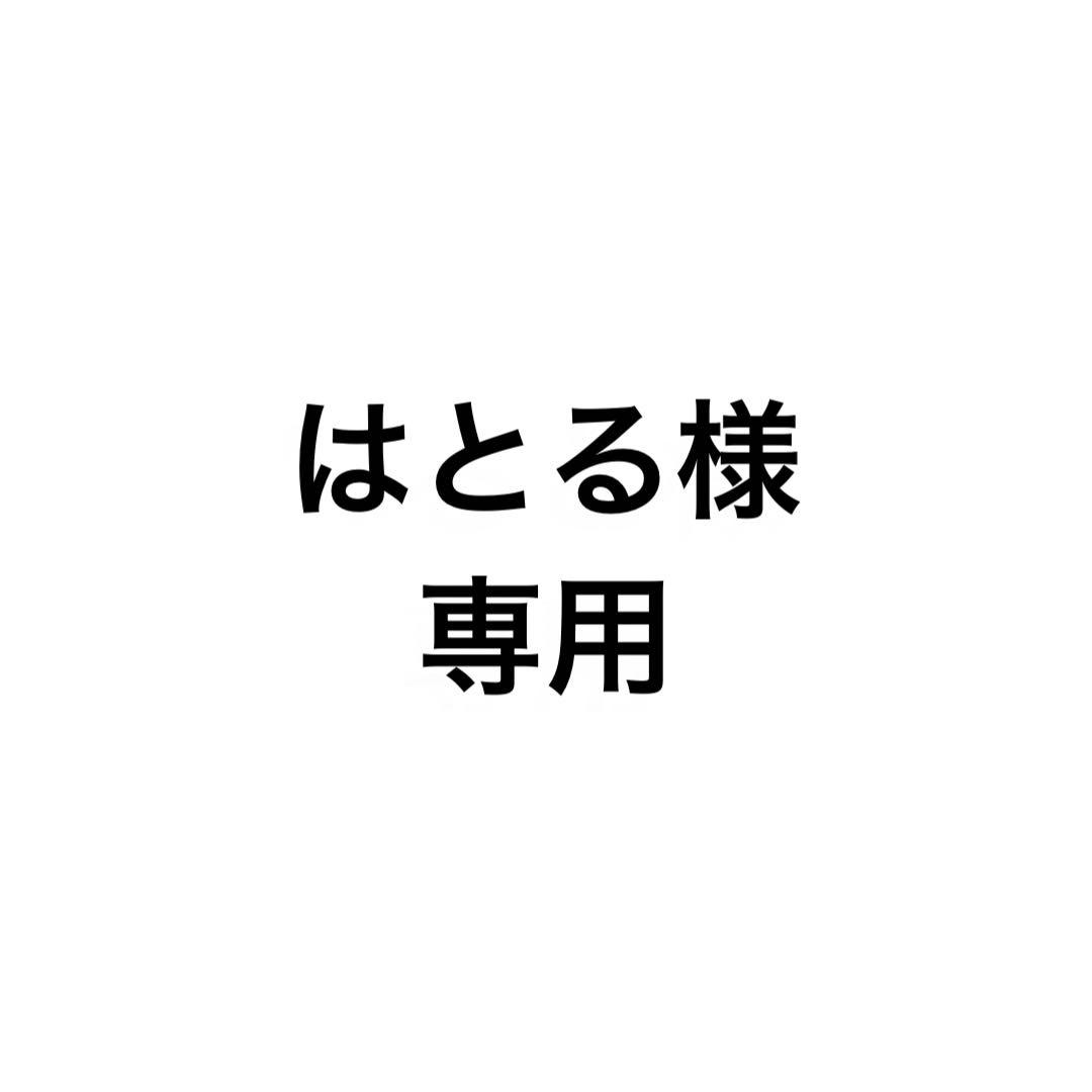はとる様 リクエスト 2点 まとめ商品
