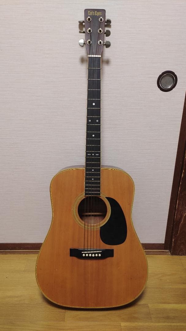 ギター Cats Eyes CE-250