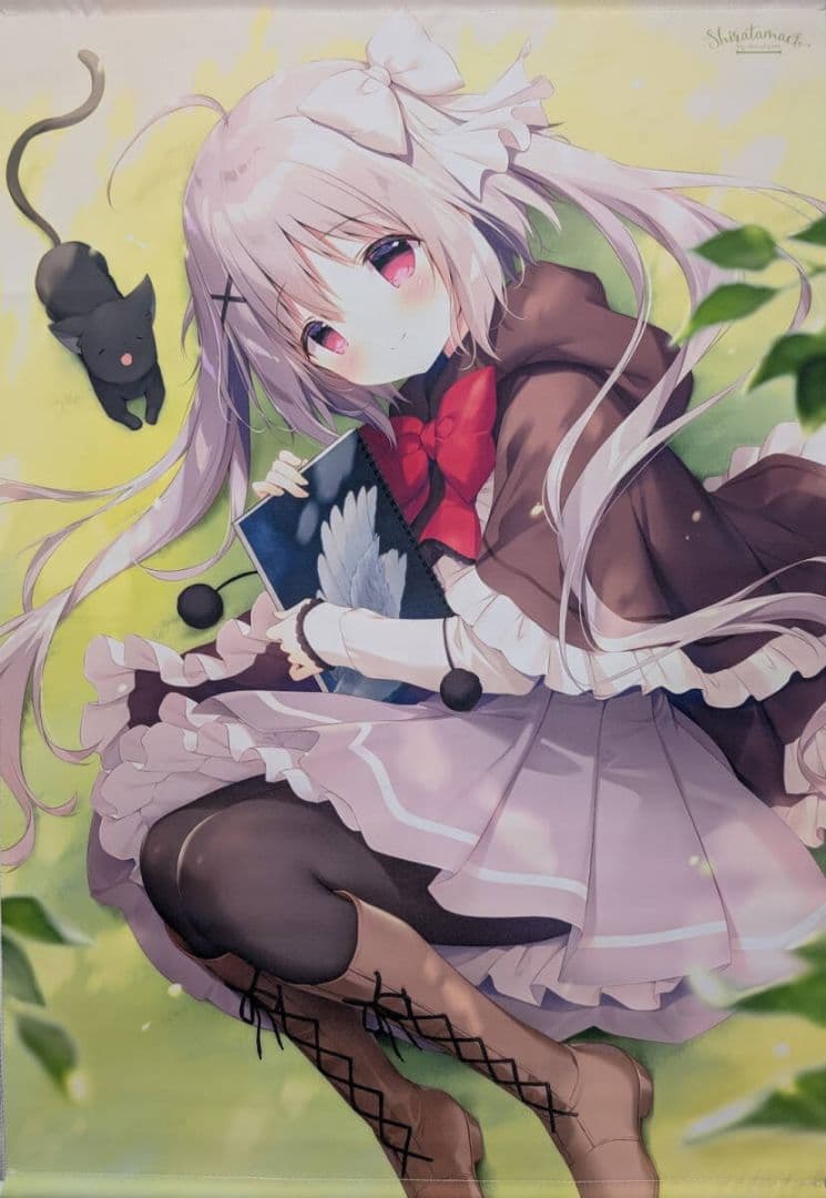 しらたまこ しらたま FANBOX継続特典 星空鉄道とシロの旅B2タペストリー