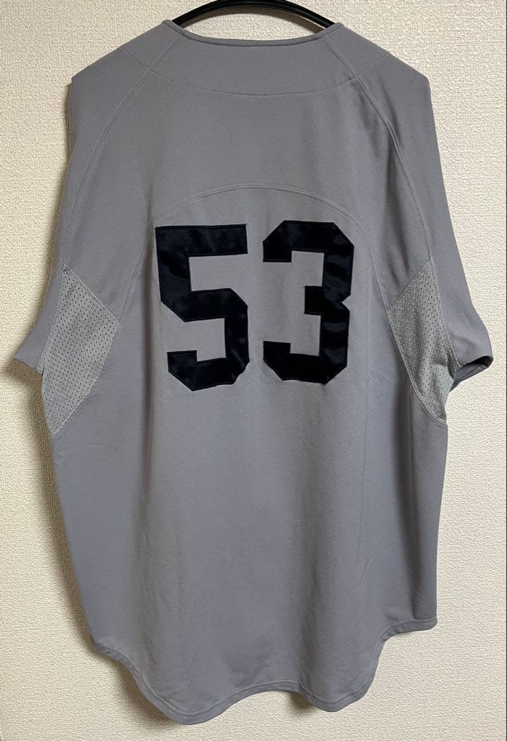 NIKE TEAM HELLCATS ベースボール シャツ グレー XL