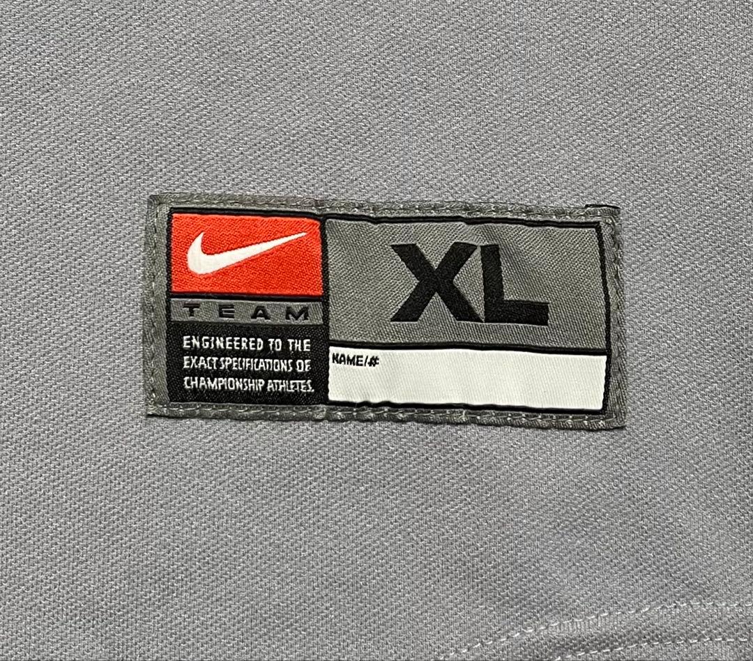 NIKE TEAM HELLCATS ベースボール シャツ グレー XL