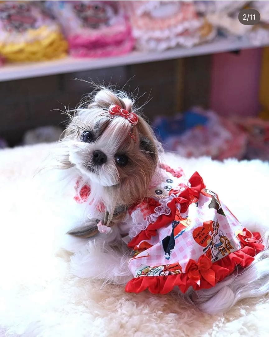 J&K Animal エプロンワンピース　限定品