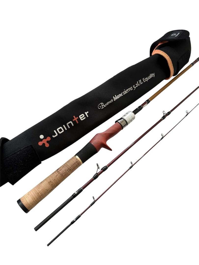 【極美品】Fishman Beams blancsierra 5.2UL