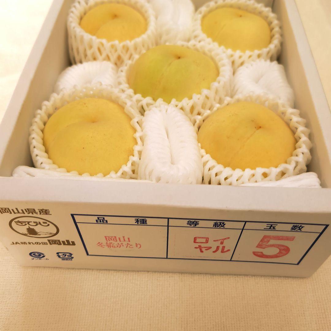 岡山県産 冬桃がたり ロイヤル 5個入り