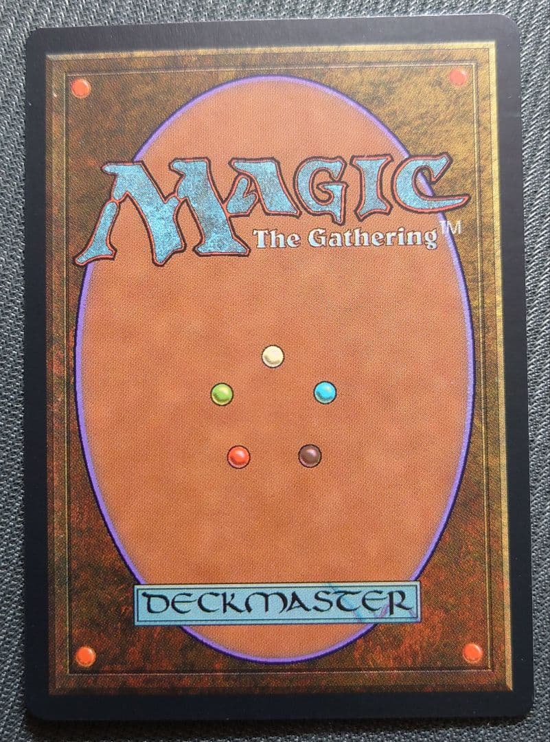 mtg 高騰中 黒枠 初版 吸血の教示者 イタリア語版 vis