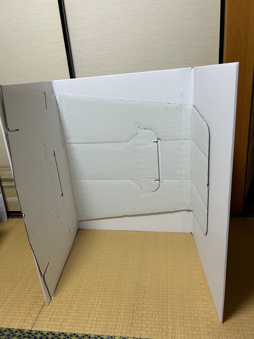 【希少】Wonjungyo Hair 平野紫耀 全身パネル