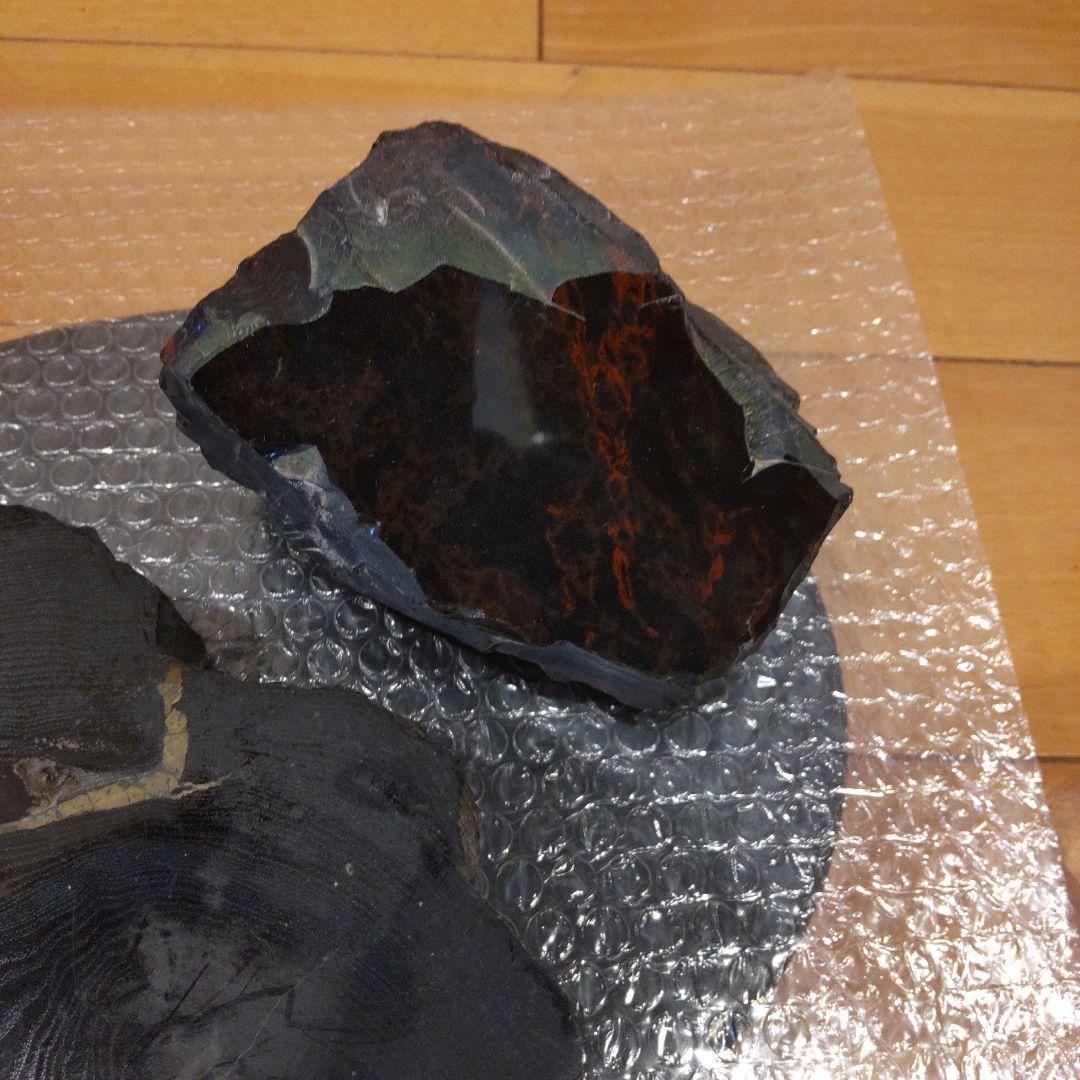 #化石(樹木)６月 価格