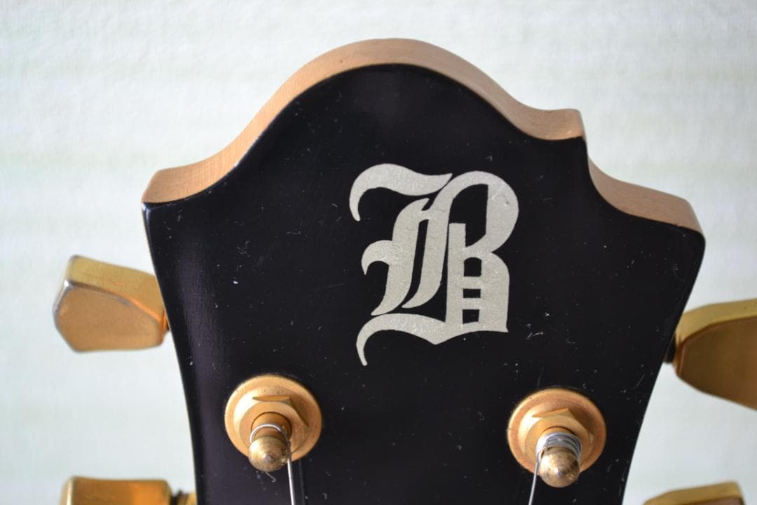 エレキギターモッキンバードモデル（ソフトケース付）音出し確認　Bロゴ