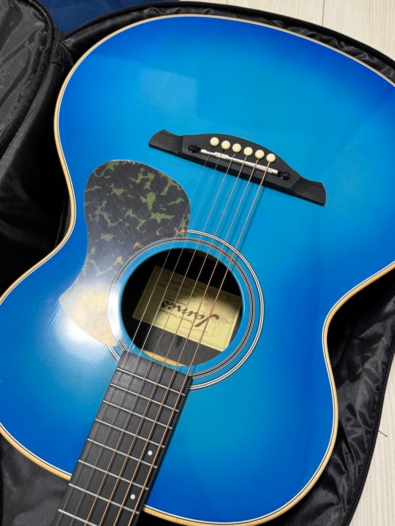 James J-300AII アースブルー アコースティックギター