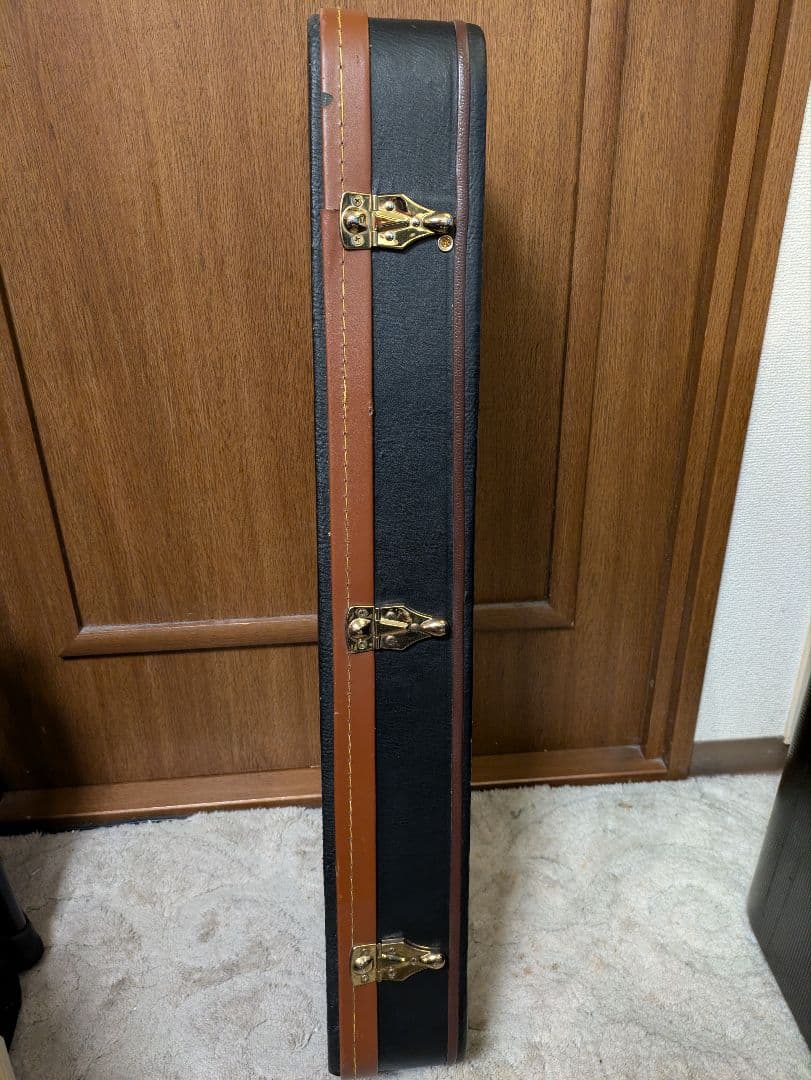 弦楽器 Fender FV-3