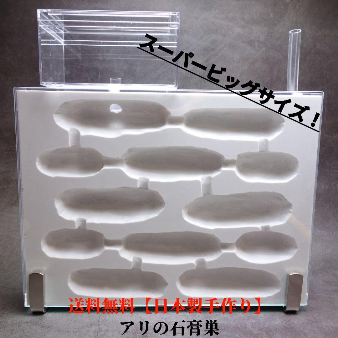 本体・ガラスセット　★送料無料★スーパービッグ　アリの巣　蟻の巣　石膏