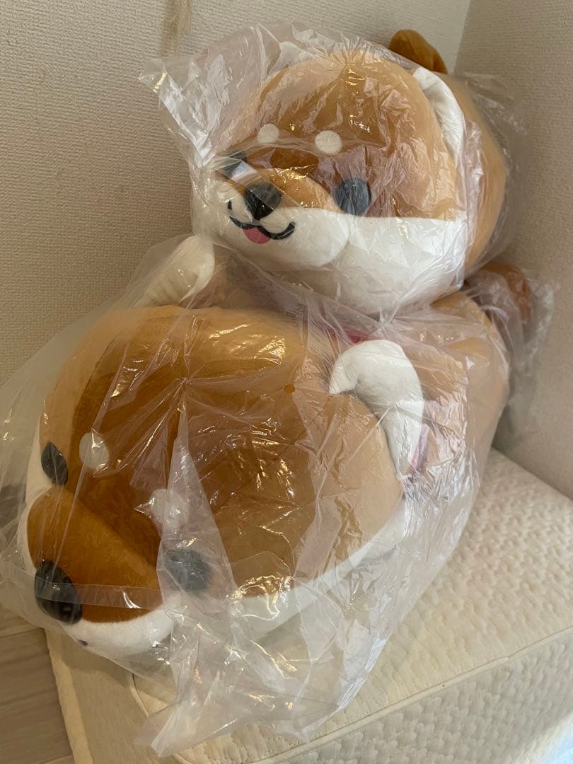 ハッピーまめしば　親子ぬいぐるみセット特賞と２等　柴犬　しばいぬ