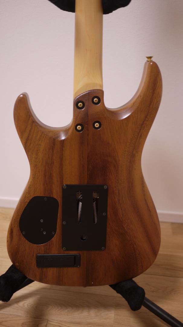 FERNANDES REVOLVER FR-100 モンキーポッド