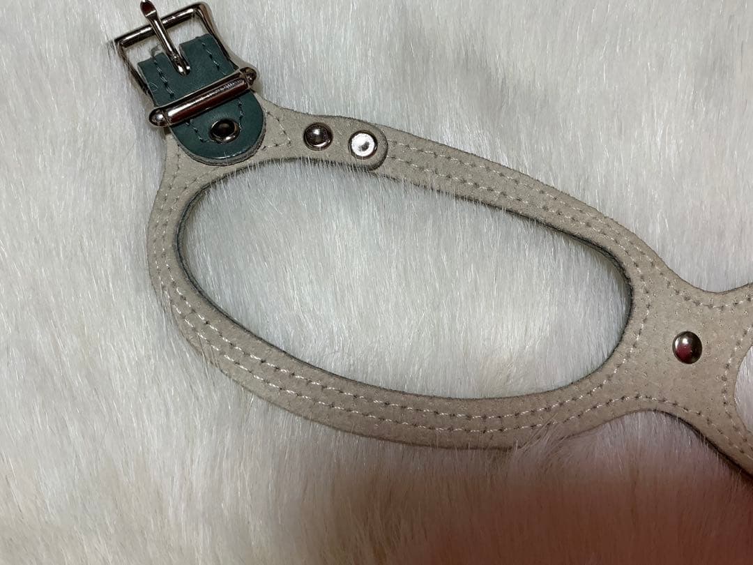 BUDDY BELT 3.5 ブルーグレーラインストーン付き