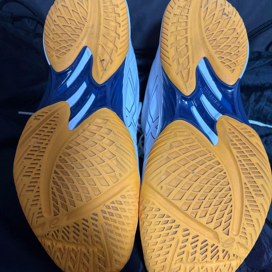 ASICS SKY ELITE FF 2 29センチ