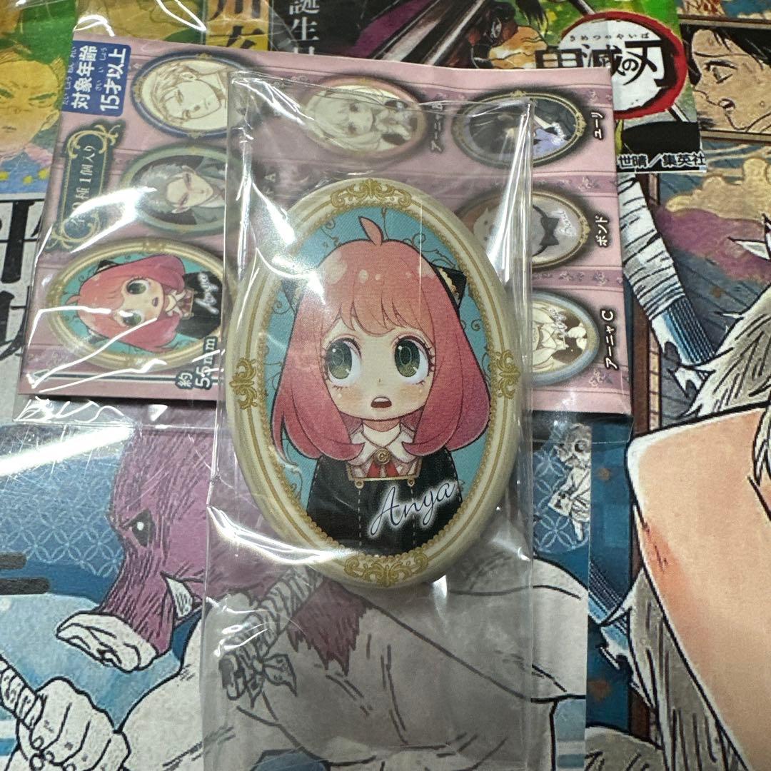 スパイファミリー　原作柄　額縁缶バッジ　トレーディング缶バッジ