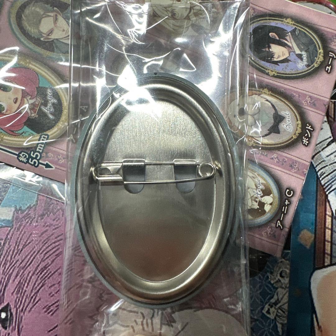 スパイファミリー　原作柄　額縁缶バッジ　トレーディング缶バッジ