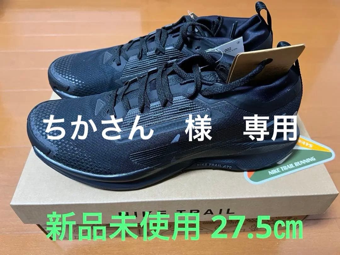 ナイキ ペガサス トレイル 5 GORE-TEX 27.5㎝