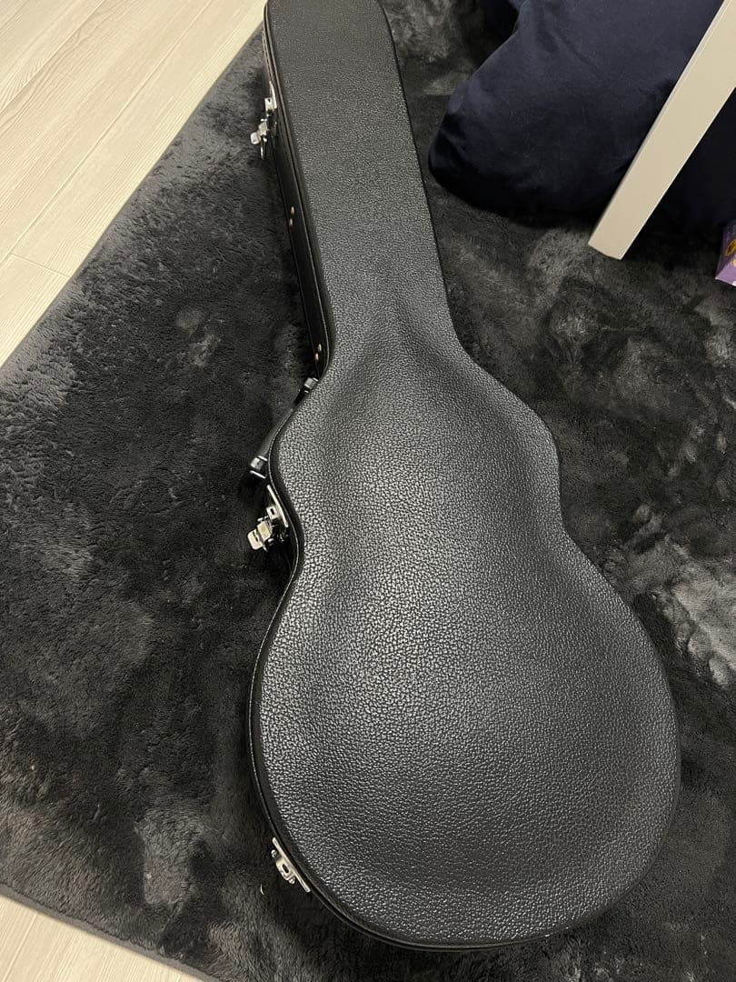 Epiphone Les Paul Standard +ハードケース+新品弦