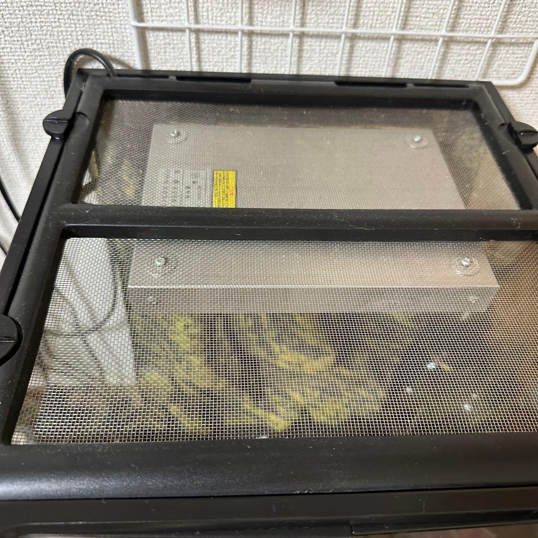 エキゾテラ　グラステラリウム3045 フルセット